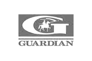 Guardian-01